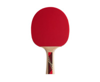 Ракетки для настольного тенниса + Ракетка DONIC LEGENDS 600