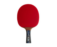 Ракетки для настольного тенниса + Ракетка DONIC LEGENDS PLATINUM