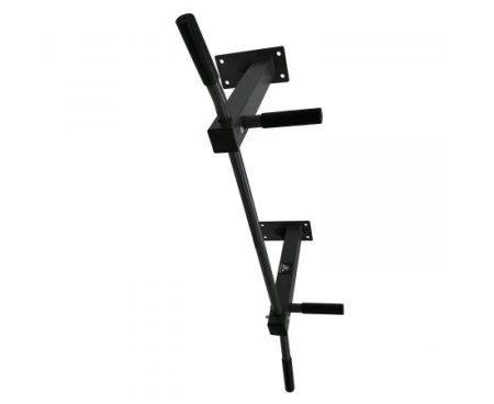 Турники + Турник потолочный DFC Homegym G486