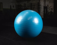 Фитболы, прыгуны + Гимнастические мячи SOFT