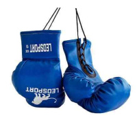 Перчатки боксерские + Перчатки боксерские на шнурках (экокожа)