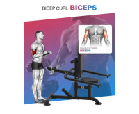 Тренажеры силовые нагружаемые дисками + Тренажер для Трицепса DFC D2003A