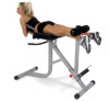 Гиперэкстензия + Гиперэкстензия/римский стул BODYCRAFT F670