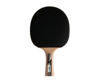 Ракетки для настольного тенниса + Ракетка DONIC LEGENDS SILVER