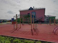 Детские уличные комплексы + Спортивный комплекс Рукоход ДСК 04270