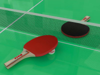 Теннисные столы всепогодные + Всепогодный теннисный стол UNIX line outdoor 6mm (green)