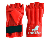 Перчатки для единоборств + Шингарты