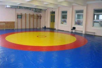 Борцовские ковры и маты + Ковер борцовский трехцветный 12х12м, наполнитель матов ППЭ+НПЭ 180кг/м3, толщина 4см