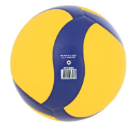 Волейбольные мячи + Мяч волейбольный Larsen MV300
