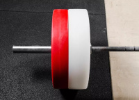 Диски с посадочным диаметром 51 мм + Диски технические пластиковые 2,5-5кг