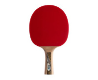 Ракетки для настольного тенниса + Ракетка DONIC LEGENDS GOLD
