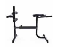 Гиперэкстензия + Гиперэкстензия / римский стул DFC CAP, черный