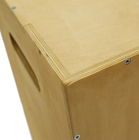 Функциональный тренинг + Плиобокс 75*60*50 BRONZE GYM PARTNER FL-13