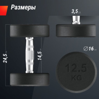 Гантели + Гантель UNIX Fit PRO круглая обрезиненная 12,5 кг, 2 шт.