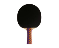 Ракетки для настольного тенниса + Ракетка DONIC Testra AR