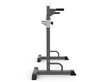 Стойки под штангу + Стойка под штангу с брусьями DFC DS10