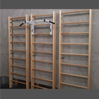 Шведские стенки + Шведская стенка деревянная бук 2400*800