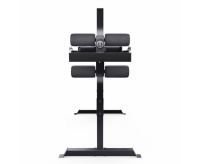 Гиперэкстензия + Гиперэкстензия / римский стул DFC CAP, черный