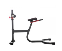 Гиперэкстензия + Гиперэкстензия DFC SUB3013RC