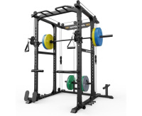 Мультистанции + Силовая рама многофункциональная DFC D026