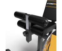 Тренажеры силовые нагружаемые дисками + Тренажер для сгибания-разгибания ног STONERISE DTrainer