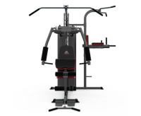 Мультистанции + Силовой комплекс DFC D7004 (D7003 + опция брусья)