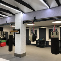 Груши боксерские + Груша-шар сustom SBL3 C