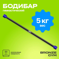 Бодибары + BRONZE GYM BG-FA-BDB5 Бодибар палка гимнастическая, 5 кг