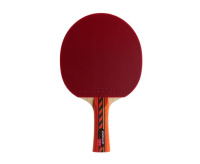 Ракетки для настольного тенниса + Ракетка DONIC Testra OFF