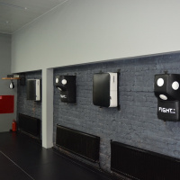 Подушки боксерские + Классическая подушка ПВХ WB4