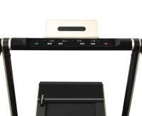 Беговые дорожки + SVENSSON BODY LABS SPACETECH (AMBERLIGHT) Беговая дорожка