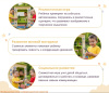 Уличные бизиборды, бизи-стенды + Уличный развивающий Бизистенд "Шиномонтажка"