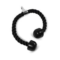 BRONZE GYM BGR09 Канат для бицепса, трицепса, двойной