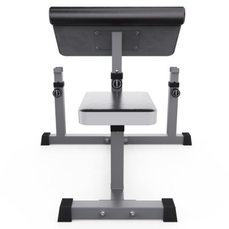 Скамьи + Скамья Скотта DFC Homegym AY001