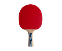 Ракетки для настольного тенниса + Ракетка DONIC LEGENDS 700