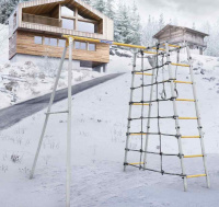 Детские спортивные комплексы для дачи + Дачный комплекс "Romana D1" (без качелей) 103.31.06 (серый/жёлтый)