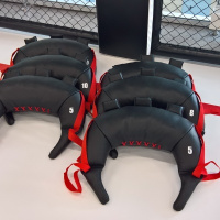 Функциональный тренинг + Болгарский мешок BBL