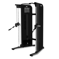 BRONZE GYM NEO 17 Двойная регулируемая тяга