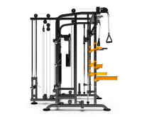 Силовые рамы + Мультистанция, машина Смита STONERISE D873