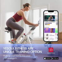 Спин-байки + Велотренажер DFC Yesoul Smart M1 BLACK с пульсометром