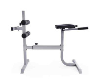 Гиперэкстензия + Гиперэкстензия / римский стул DFC CAP, серебряный