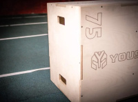 Плиобоксы + Тумба для запрыгивания деревянная 50-60-75см