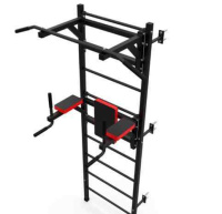 Шведские стенки + Шведская стенка с опциями DFC Lite VT-6007 (D-123) / профиль 1,5 мм