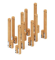 Детские уличные комплексы + Бум-лабиринт (лиственница) СО 2.55.04-Л.И1