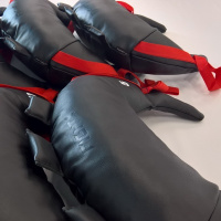 Функциональный тренинг + Болгарский мешок BBL