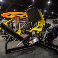 Тренажеры силовые нагружаемые дисками + BRONZE GYM PL-1705 Жим ногами