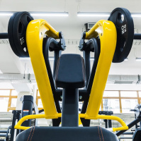 Тренажеры силовые нагружаемые дисками + BRONZE GYM PL-1702 Горизонтальная тяга