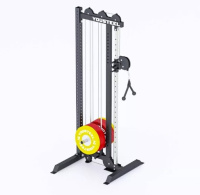 Тренажеры кроссоверы + Кроссовер, нагружаемый дисками