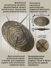 Прочие тренажеры + Балансборд с лабиринтом