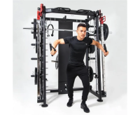 Мультистанции + Мультистанция, машина Смита DFC Gorilla Sport 100822